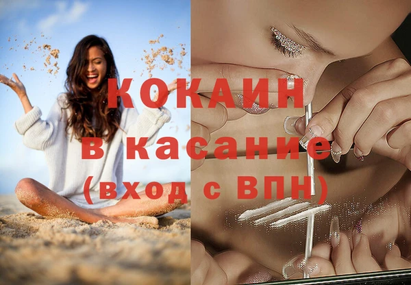 сатива Нягань