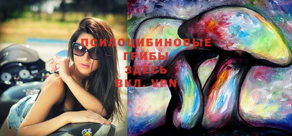 MDMA Premium VHQ Аркадак