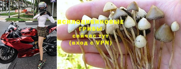 сатива Нягань